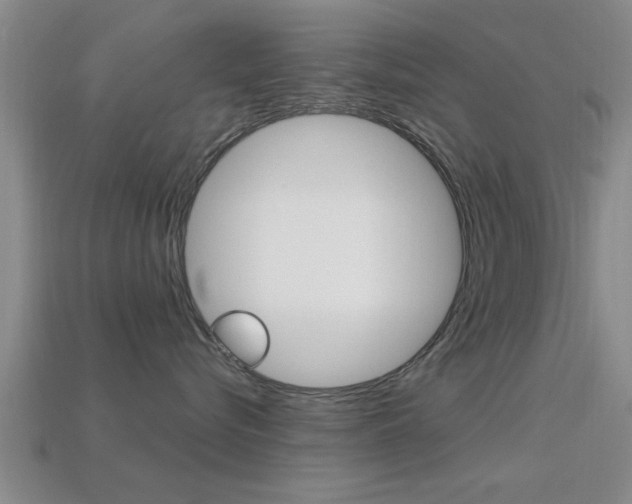 X0000113300576200909140948