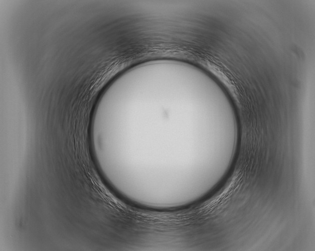 X0000113300577200909140947
