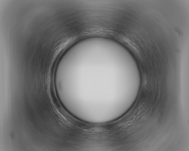 X0000113300578200909140947
