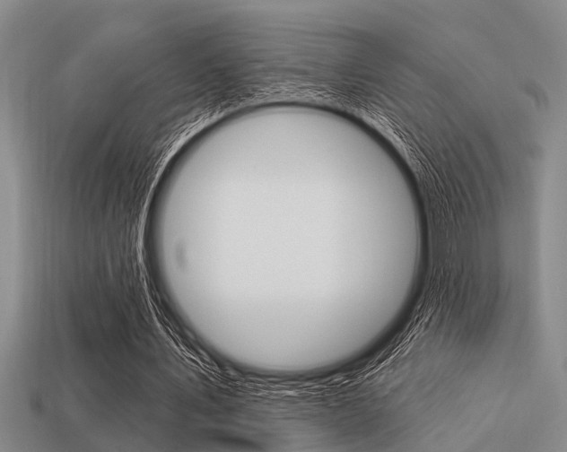 X0000113300579200909140947