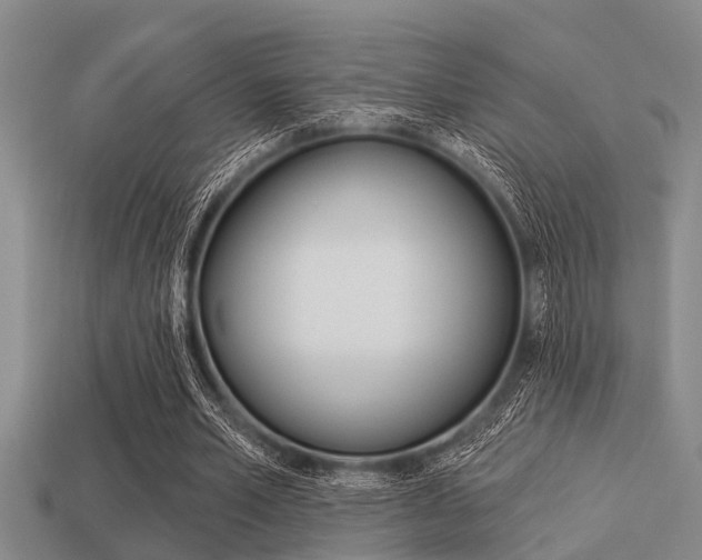 X0000113300581200909140947