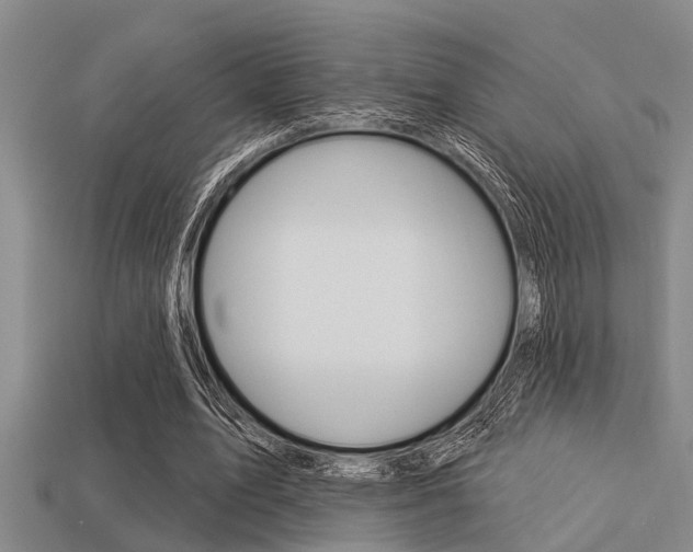 X0000113300583200909140947