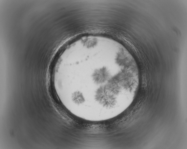 X0000113300584200909140947