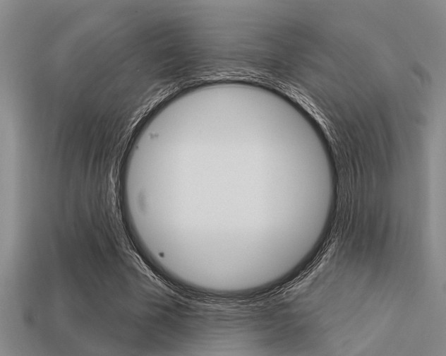 X0000113300585200909140947