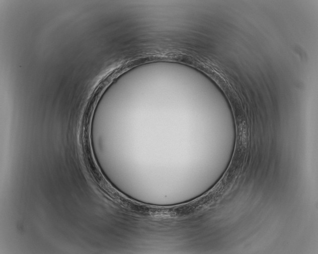 X0000113300587200909140947
