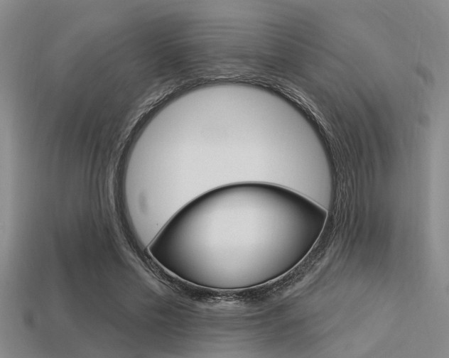 X0000113300589200909140947