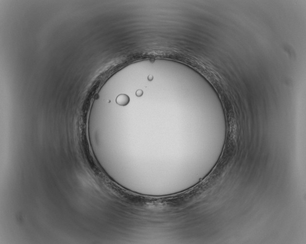 X0000113300591200909140947