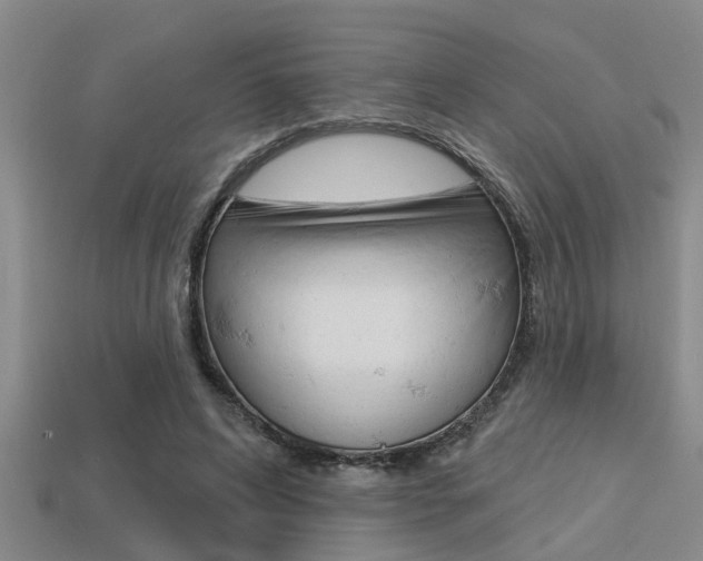X0000113300592200909140947