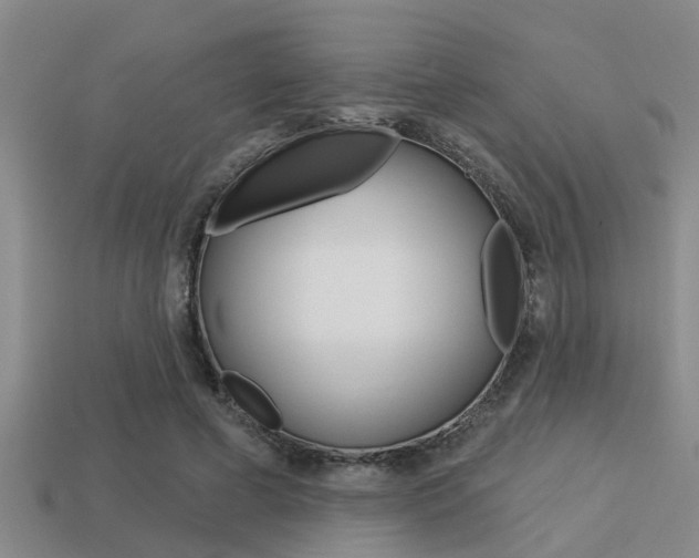X0000113300593200909140947