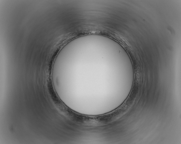 X0000113300594200909140947