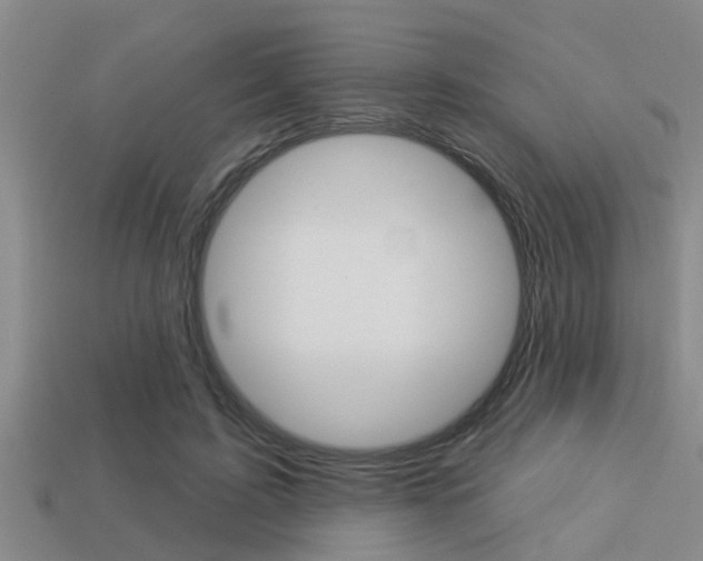 X0000113300595200909140947
