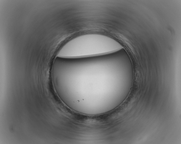 X0000113300596200909140947