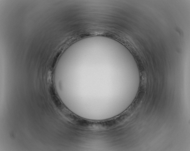 X0000113300598200909140947