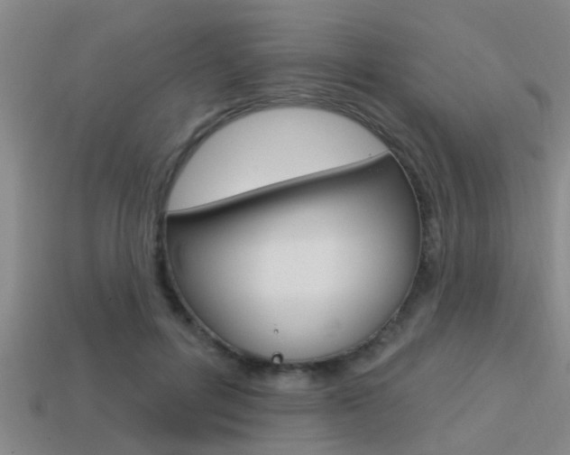 X0000113300600200909140947