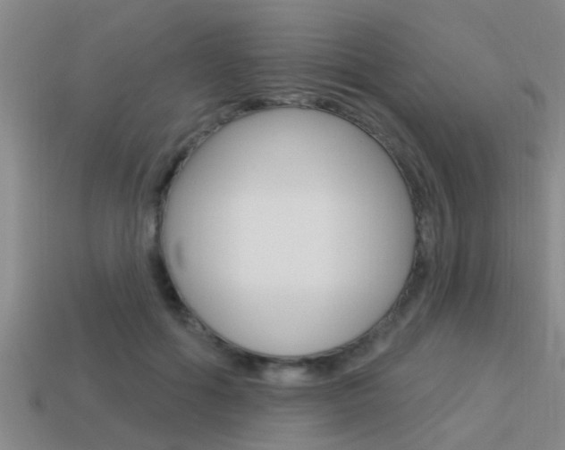 X0000113300602200909140947