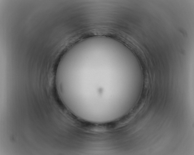 X0000113300604200909140947