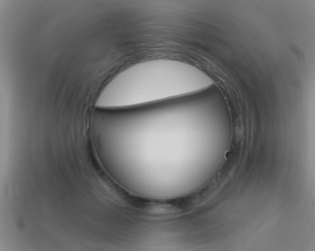 X0000113300605200909140947