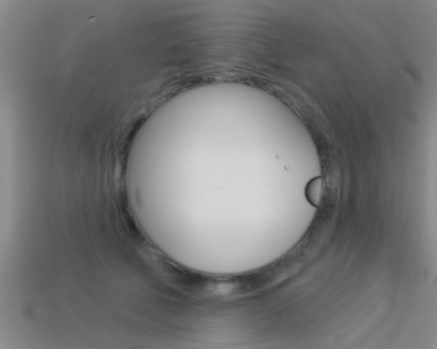 X0000113300610200909140947
