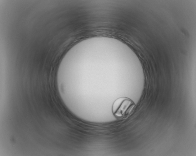 X0000113300611200909140947
