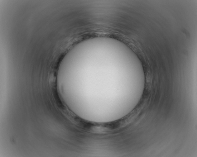 X0000113300614200909140946
