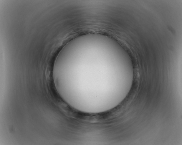 X0000113300615200909140946