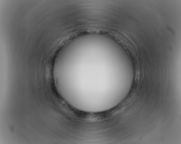 X0000113300616200909140946