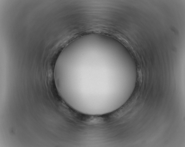 X0000113300617200909140946