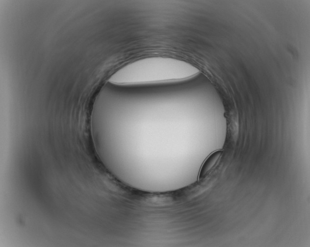 X0000113300619200909140946