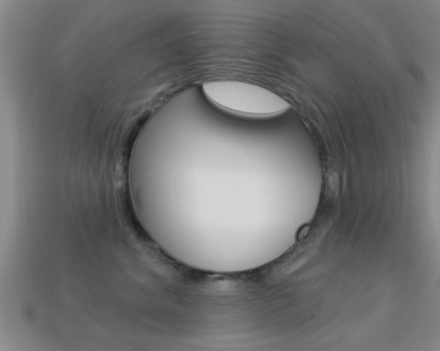 X0000113300620200909140946