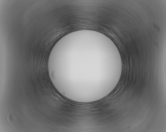 X0000113300621200909140946