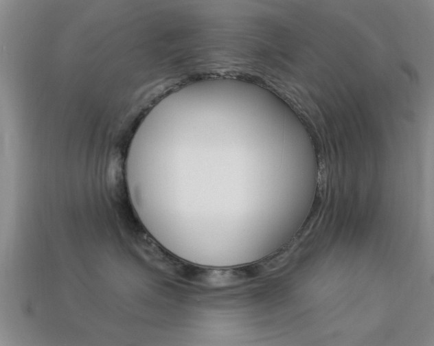 X0000113300623200909140946