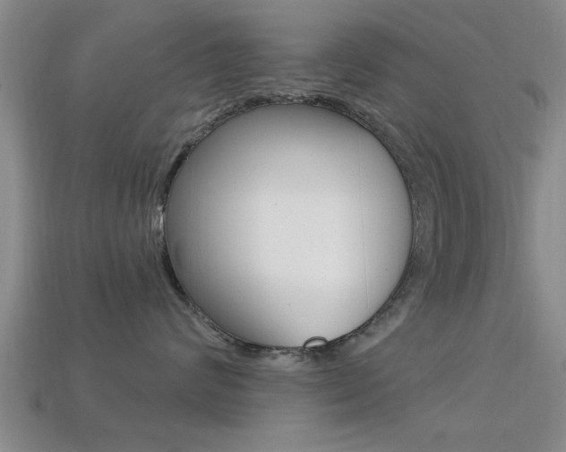 X0000113300624200909140946