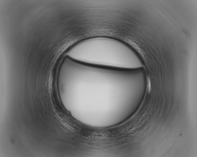 X0000113300627200909140946