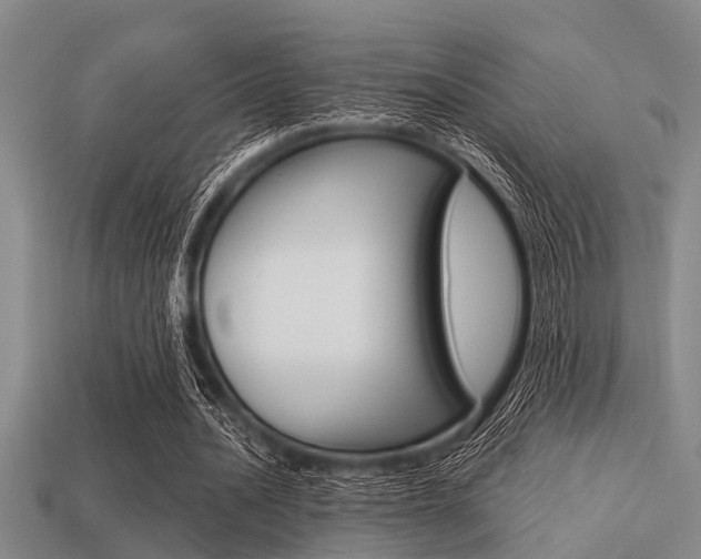 X0000113300628200909140946