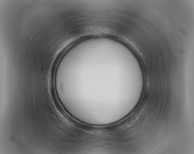 X0000113300629200909140946
