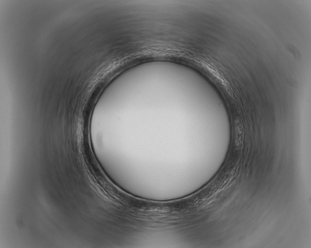 X0000113300631200909140946