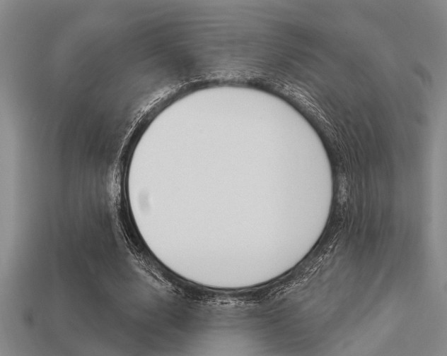 X0000113300632200909140946