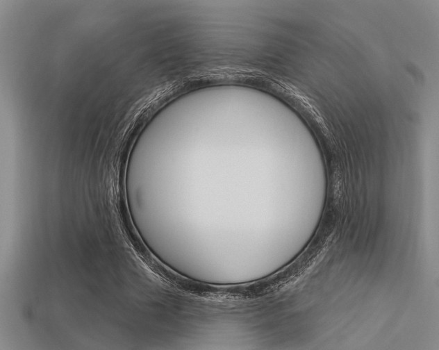 X0000113300633200909140946
