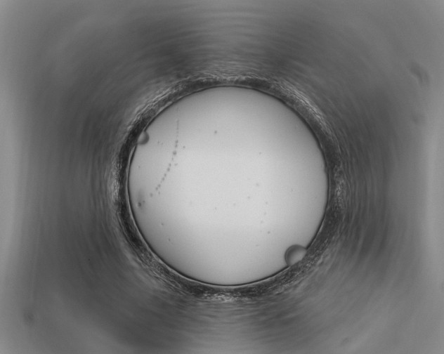 X0000113300635200909140946