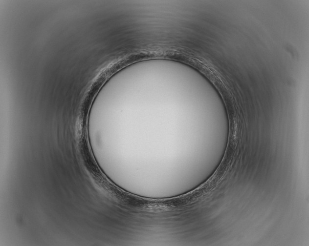 X0000113300636200909140946