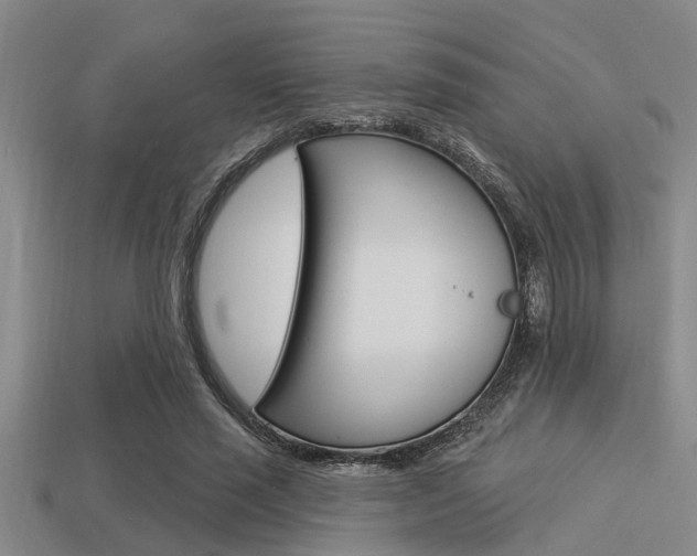 X0000113300637200909140946