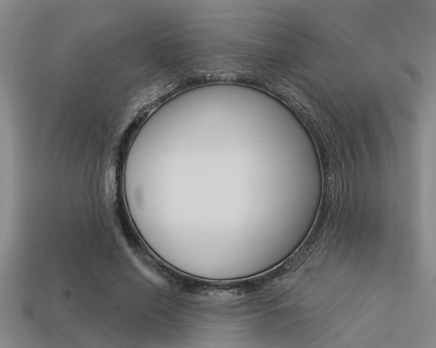 X0000113300638200909140946