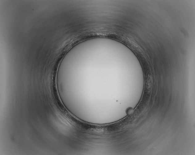X0000113300639200909140946