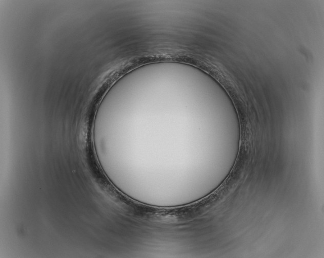 X0000113300640200909140946