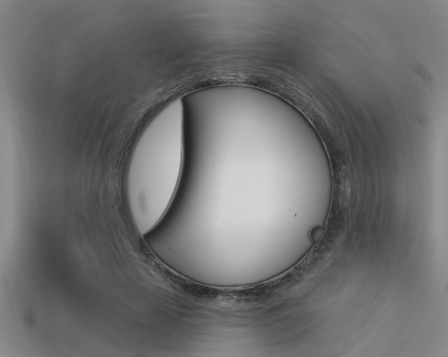 X0000113300641200909140946