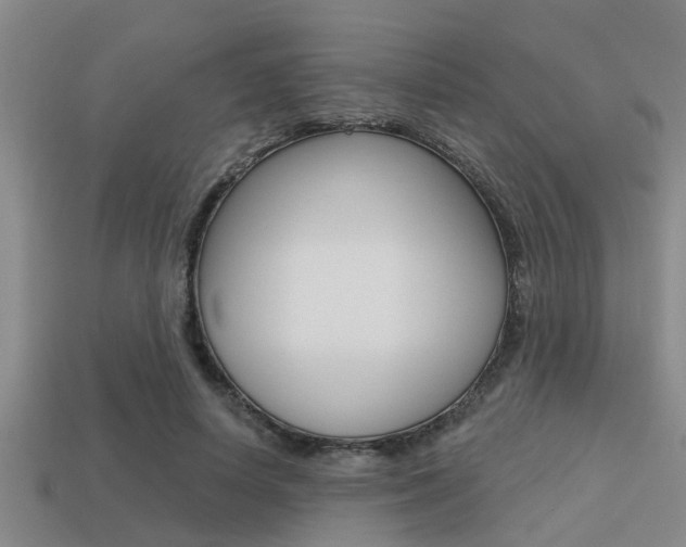 X0000113300642200909140946