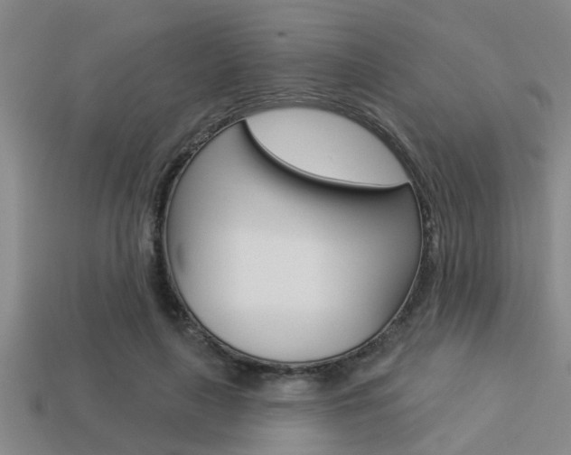X0000113300643200909140946