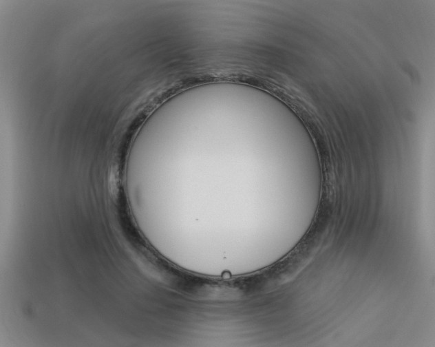 X0000113300644200909140946