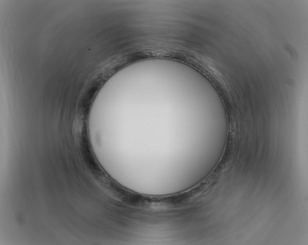 X0000113300645200909140946