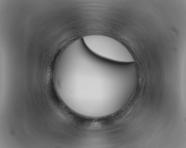 X0000113300647200909140946